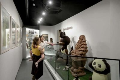 Turin: Visit to the Chocolate and Gianduja Museum, Choco-Story Torino - Cocoa origins to Turin’s recipes: why the story matters