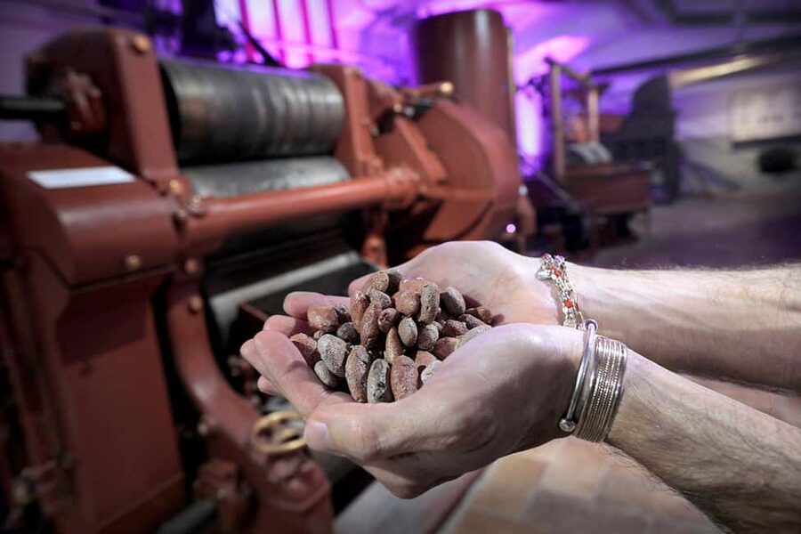 Turin: Visit to the Chocolate and Gianduja Museum, Choco-Story Torino - Audio guide in five languages: how the pacing stays friendly