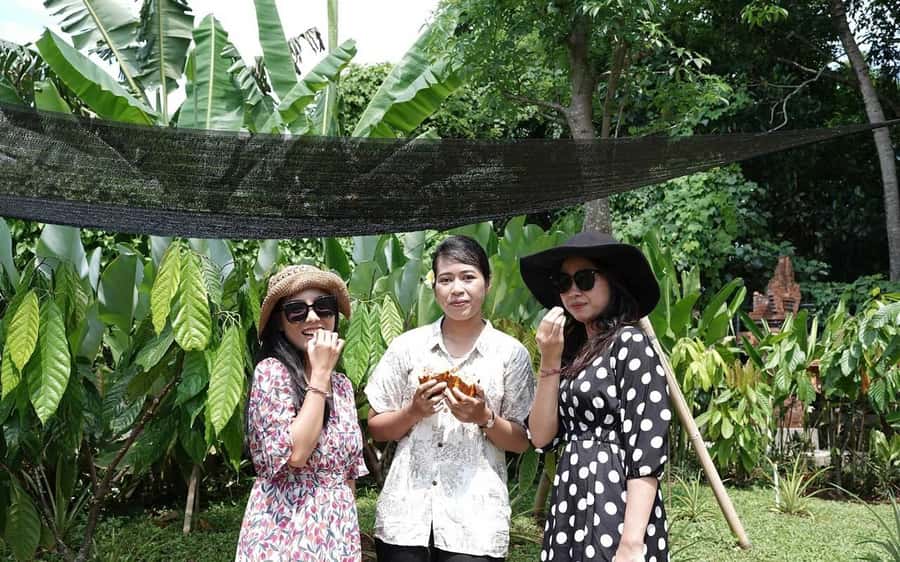 Ubud: Chocolate Workshop, Class & Tasting - The chocolate tasting: your quick training in flavor and texture