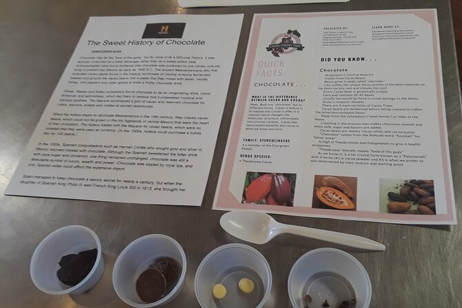 Ultimate Chocolate Experience - Where It Starts: Meeting Point, Timing, and Language