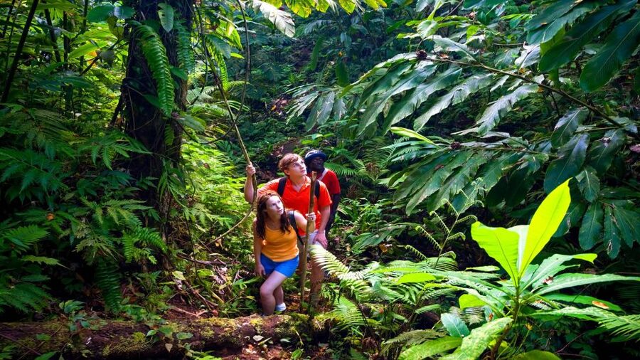 Waterfall, Chocolate Tour, Rainforest, Royal Historical - Kings Gardens Maui: the setting that makes this tour feel different