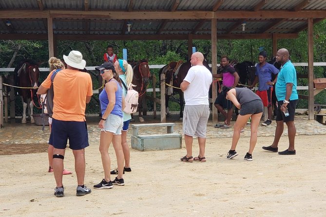 Wildlife adventure, Chocolate factory, city Tour & Beach Break - Key highlights you should care about