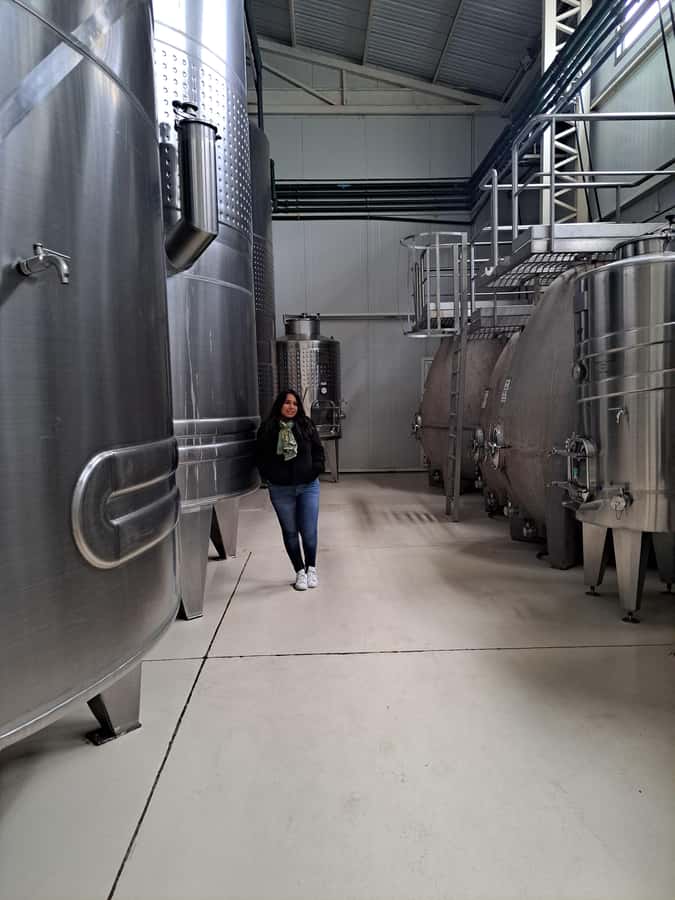Wine and Chocolate Bike Tour: ride, taste, lunch, vineyards. - Finca Bandini: learning the vineyard-to-wine workflow