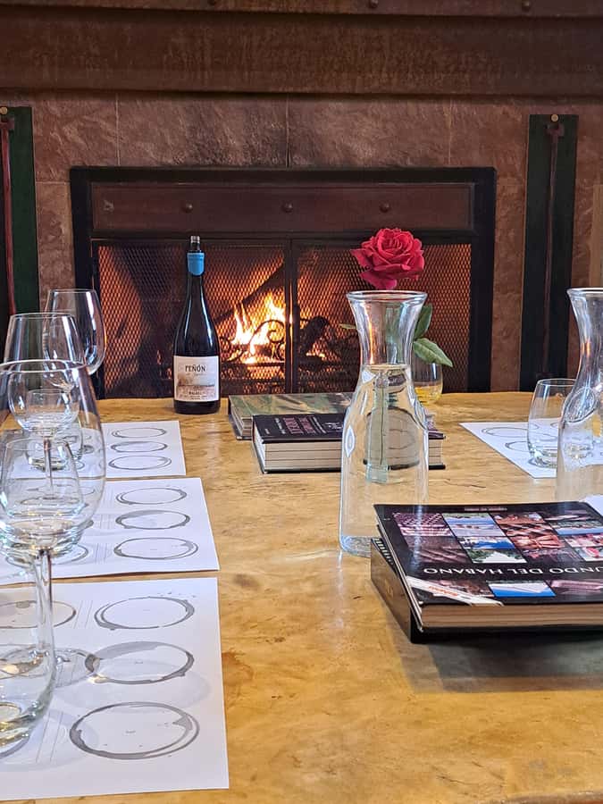 Wine and Chocolate Bike Tour: ride, taste, lunch, vineyards. - DURIGUTTI Family Winemakers – Finca Victoria: orchard, geese, and a calmer kind of cellar time