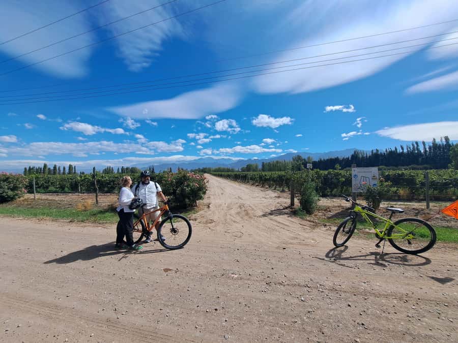 Wine and Chocolate Bike Tour: ride, taste, lunch, vineyards. - Lamadrid Estate Wines: the gourmet picnic with bocce on the side