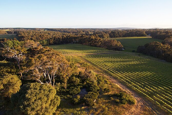 Wine and Chocolate Bonbon Tasting in Margaret River - Key things to know before you go