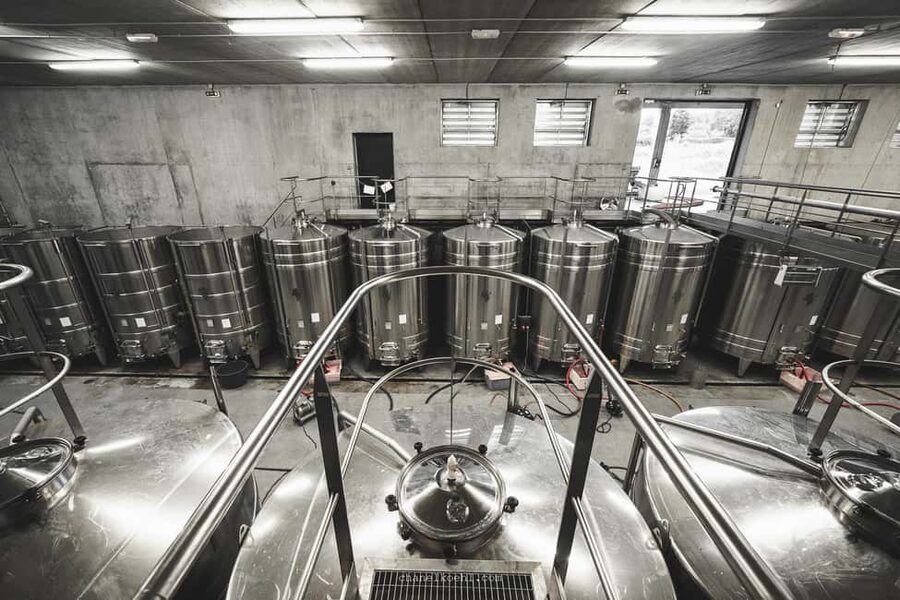 Wine and Chocolate experience - Seven Chinon wines: tasting like a detective, not a student