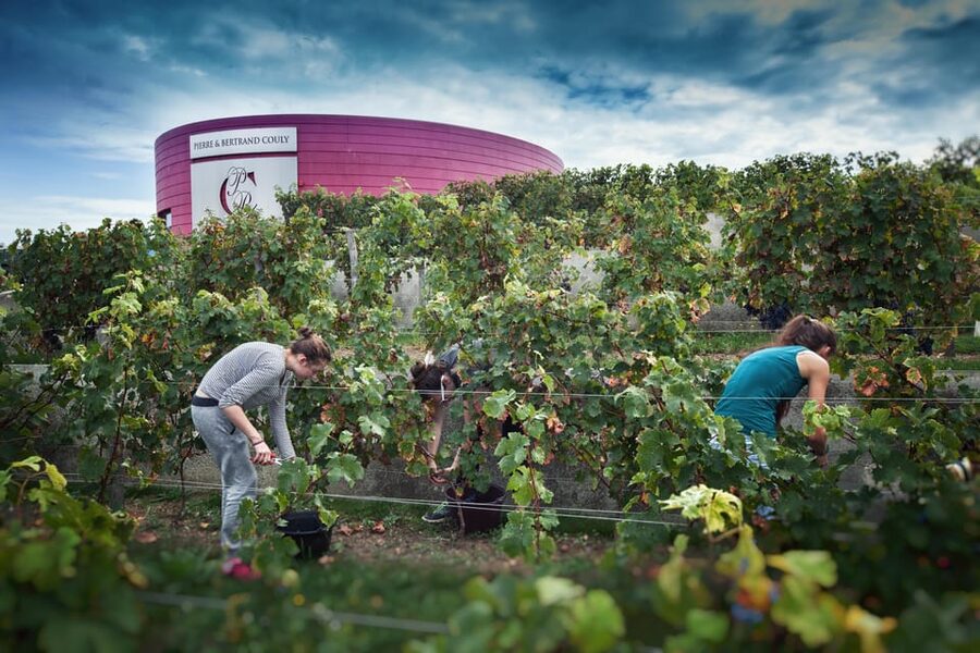 Wine and Chocolate experience - Price and value: $31 for 14 total tastings