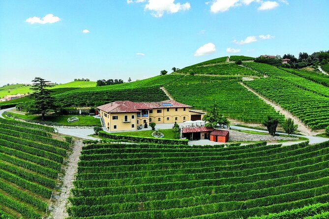 Wine & Chocolate Tour and Tasting in Alba area - The Tasting Room Finale: Four Wines, Chocolate Pairing, and Barolo Chinato