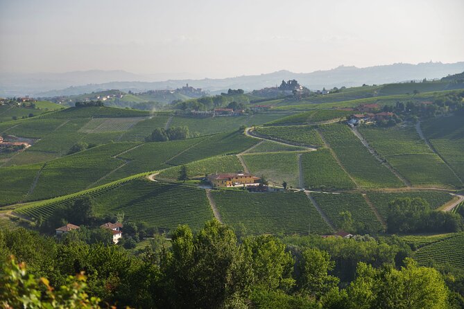 Wine & Chocolate Tour and Tasting in Alba area - Price and Value: Is $66.72 Worth It?