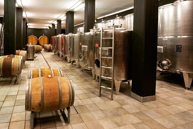 Wine & Chocolate Tour and Tasting in Alba area - Who This Tour Fits Best (and Who Should Rethink)