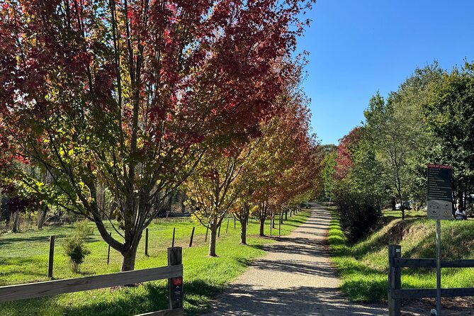 Yarra Valley Foodie Tour, Devonshire Tea, Cheese and Chocolate - What You Get Included (and Why the Value Works)
