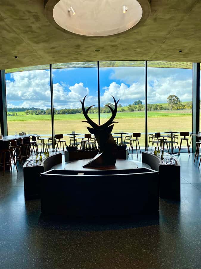 Yarra Valley: Wine and Chocolate tasting tour. - St’Huberts Estate: lunch, the cellar door, and an underground Aboriginal Art Gallery