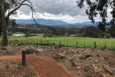 Yarra Valley Wine Tour inc lunch with a glass of wine, tastings and chocolate - Getting from Melbourne: CBD hotel pickup and a small 24-person group
