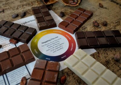 York: York Cocoa Works Guided Tour and Tasting - The 45-minute cocoa-to-bar story you can actually follow