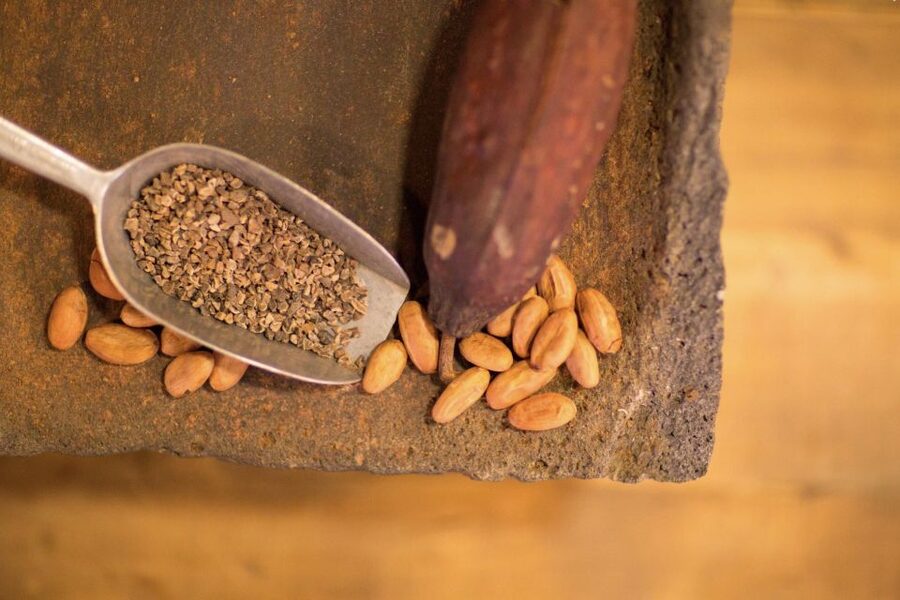 York: York Cocoa Works Guided Tour and Tasting - The tasting: how to read cocoa flavour notes and strengths (without overthinking)