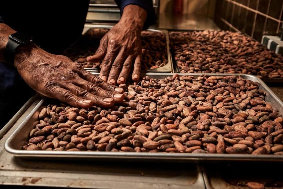 Zaandijk-Near Zaanse Schans Chocolate making demo & tasting - Cacao heritage around the river Zaan, plus sourcing choices