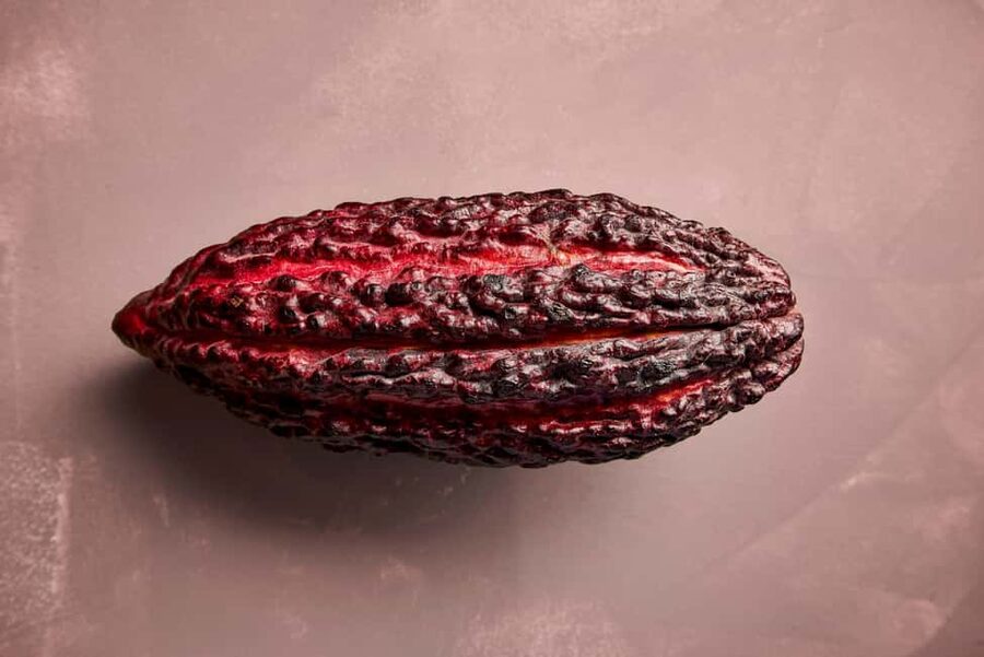 Zaandijk-Near Zaanse Schans Chocolate making demo & tasting - Pair it with Zaandijk and plan your 45-minute timing