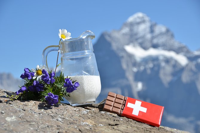 Zurich City, Lake Cruise and Chocolate (Private Tour) - Getting oriented in Zurich without doing the logistics math