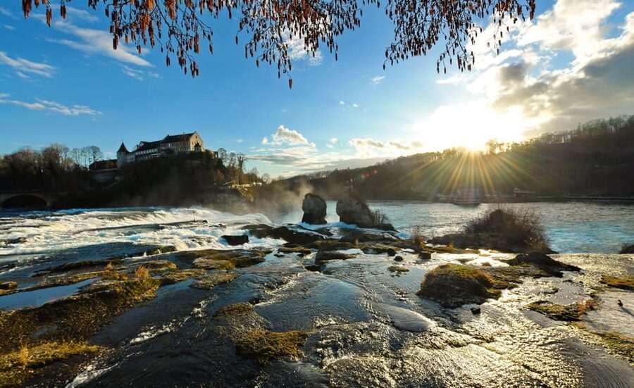 Zurich: Rhine Falls, Chocolate & Cheese Factory Day Trip - Price and value: how $141 fits this full-day mix