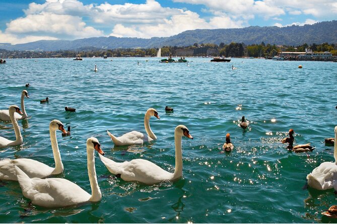 Zurich with Cruise and Lindt Home of Chocolate Private tour - Should you book the Zurich Cruise and Lindt Home of Chocolate Private Tour?